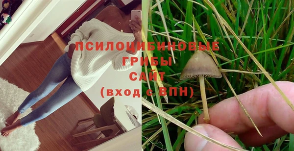 стаф Михайловск