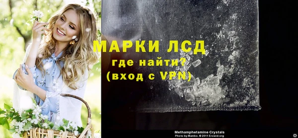 стаф Михайловск