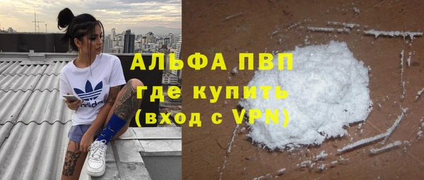 стаф Михайловск