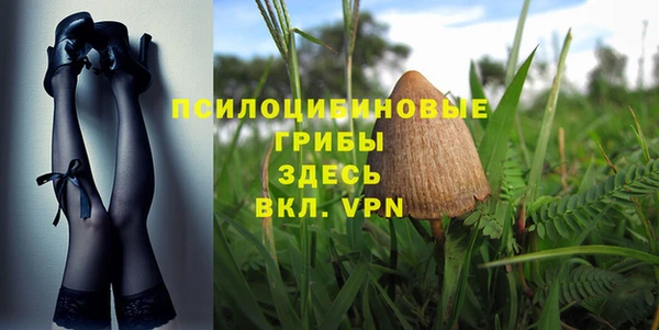 стаф Михайловск