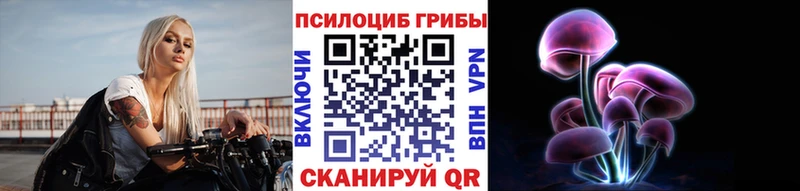 магазин продажи   Шацк  Галлюциногенные грибы Magic Shrooms 
